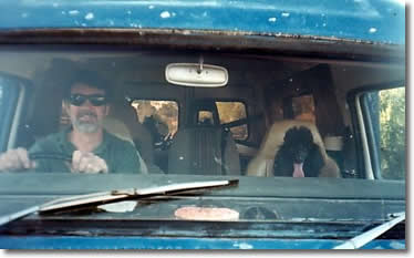 grant Sam and Bluey